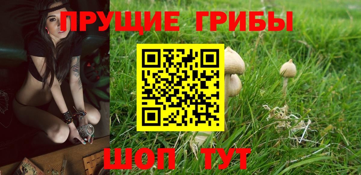 Галлюциногенные грибы прущие грибы Родники