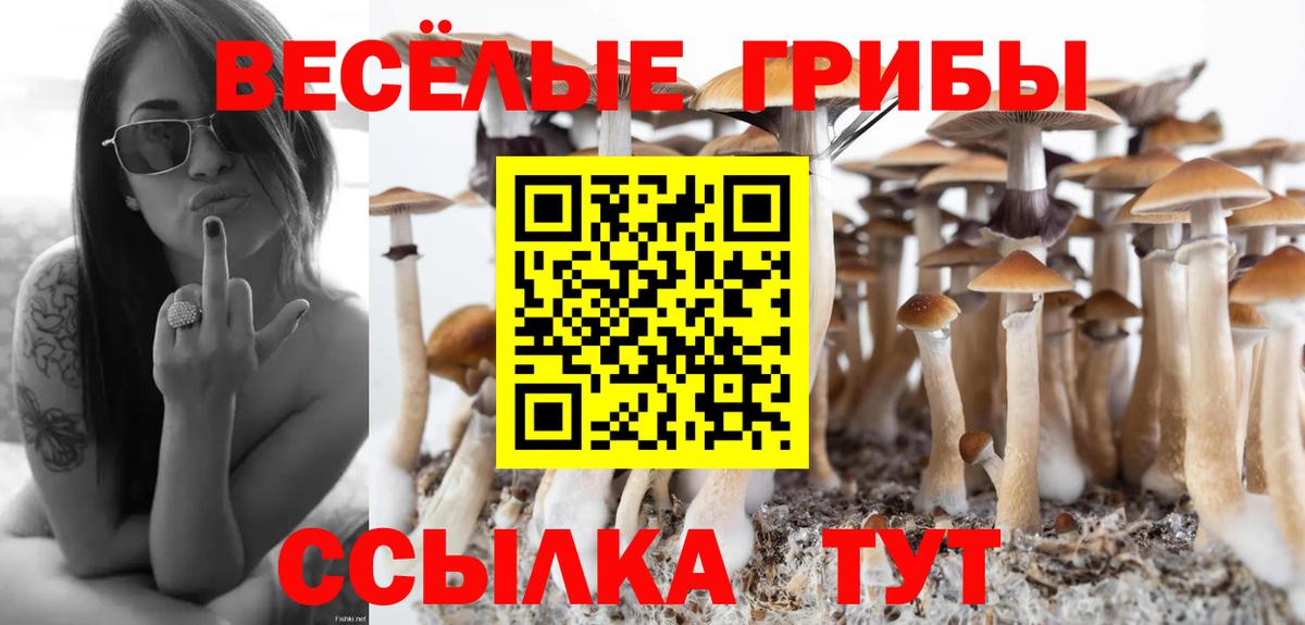Галлюциногенные грибы GOLDEN TEACHER  Вход с VPN  Родники 